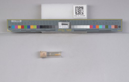 NSF ADBC EPICC TCN
