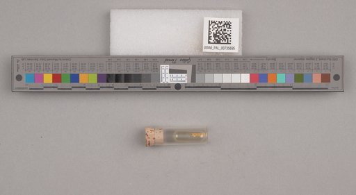 NSF ADBC EPICC TCN
