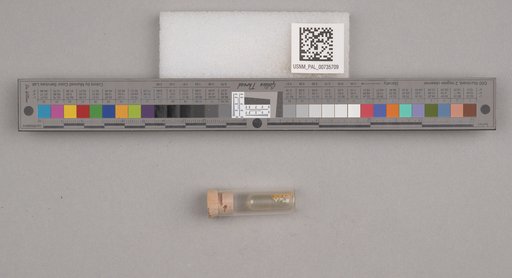 NSF ADBC EPICC TCN