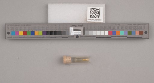 NSF ADBC EPICC TCN