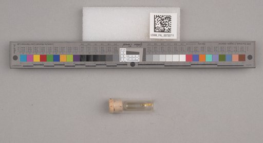 NSF ADBC EPICC TCN