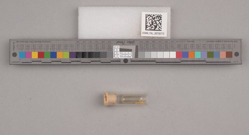 NSF ADBC EPICC TCN