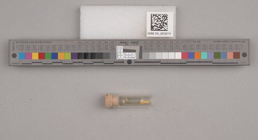 NSF ADBC EPICC TCN