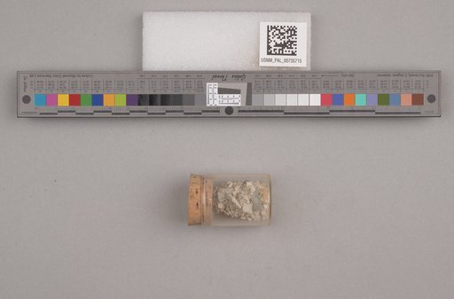 NSF ADBC EPICC TCN