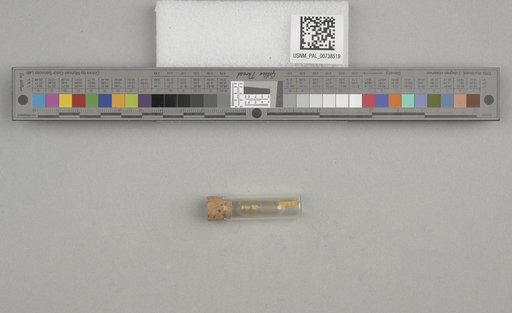 NSF ADBC EPICC TCN