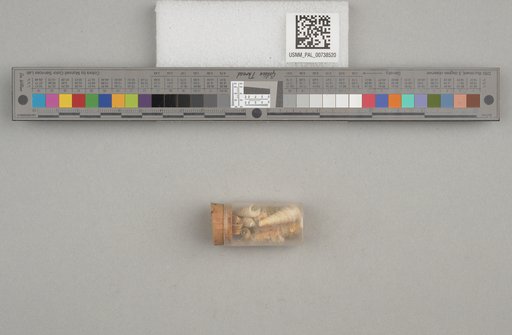NSF ADBC EPICC TCN
