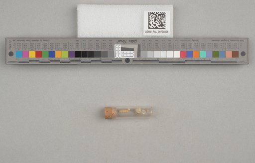NSF ADBC EPICC TCN