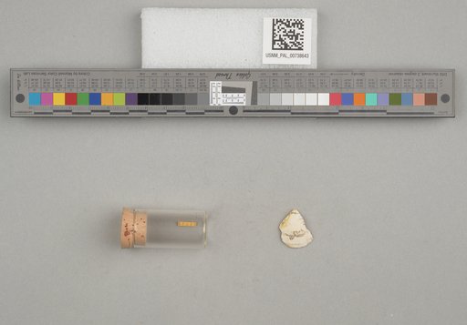 NSF ADBC EPICC TCN