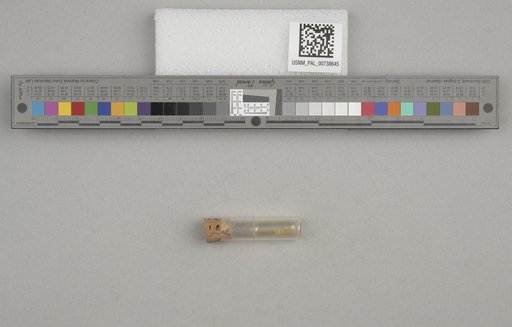 NSF ADBC EPICC TCN