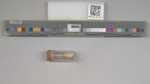 NSF ADBC EPICC TCN