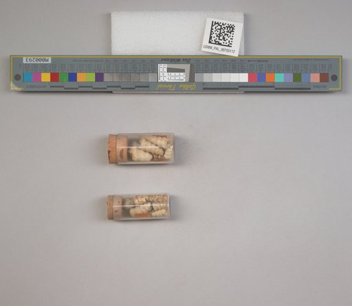 NSF ADBC EPICC TCN