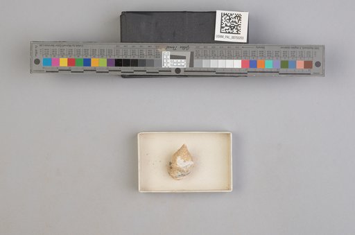 NSF ADBC EPICC TCN