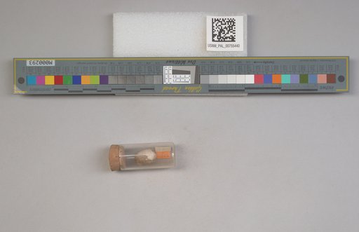 NSF ADBC EPICC TCN