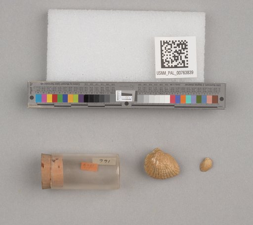 NSF ADBC EPICC TCN