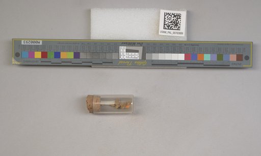 NSF ADBC EPICC TCN