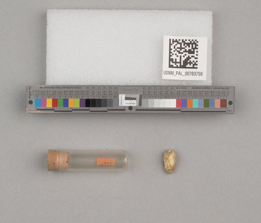 NSF ADBC EPICC TCN