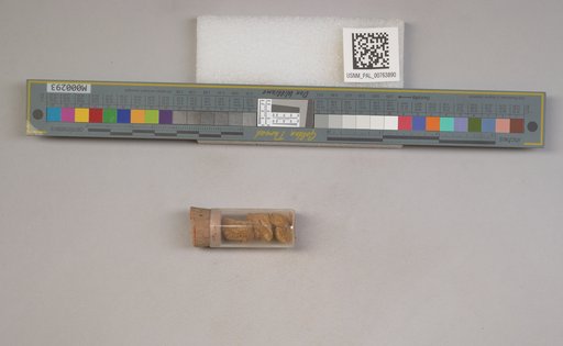 NSF ADBC EPICC TCN