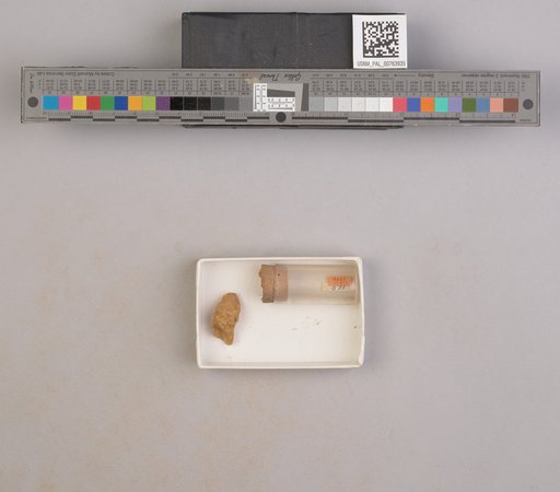 NSF ADBC EPICC TCN