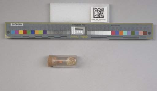 NSF ADBC EPICC TCN