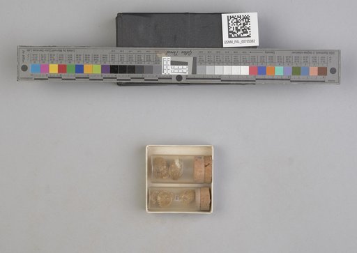 NSF ADBC EPICC TCN