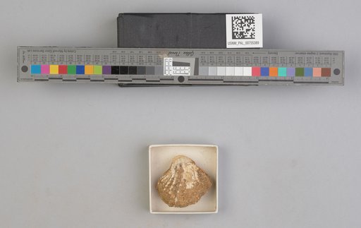 NSF ADBC EPICC TCN