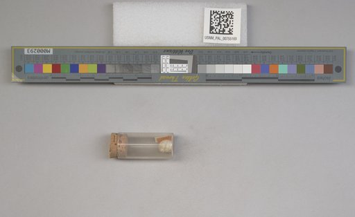 NSF ADBC EPICC TCN