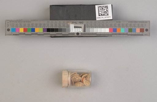 NSF ADBC EPICC TCN