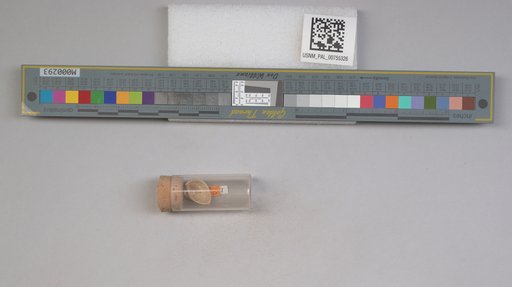 NSF ADBC EPICC TCN