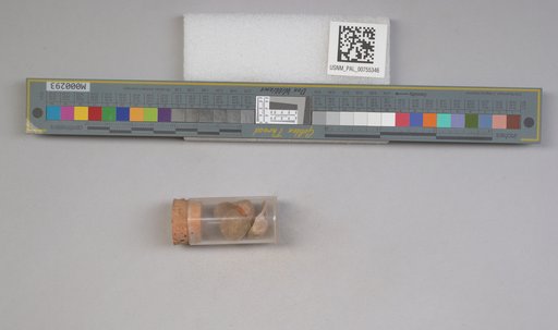 NSF ADBC EPICC TCN