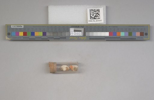 NSF ADBC EPICC TCN