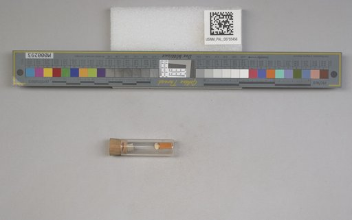 NSF ADBC EPICC TCN