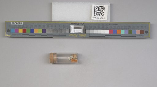 NSF ADBC EPICC TCN