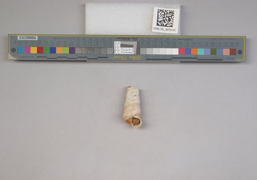NSF ADBC EPICC TCN