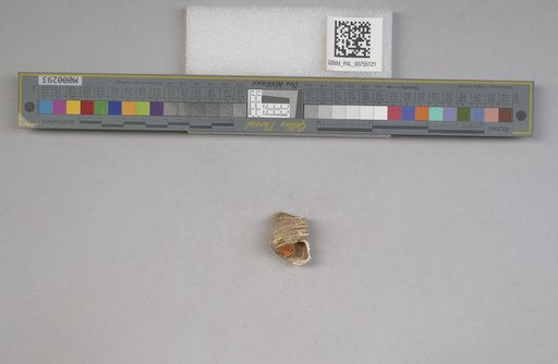 NSF ADBC EPICC TCN