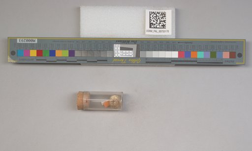 NSF ADBC EPICC TCN