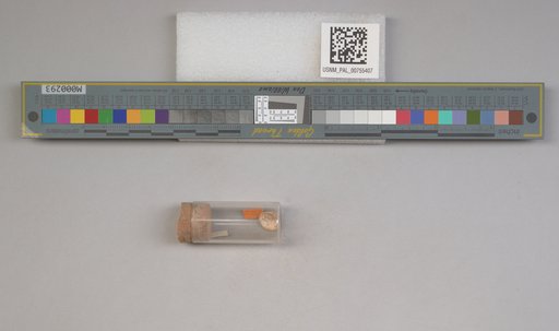 NSF ADBC EPICC TCN