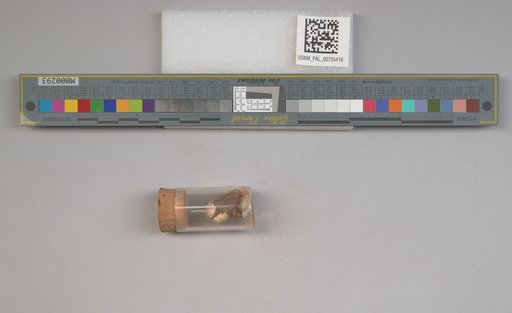 NSF ADBC EPICC TCN