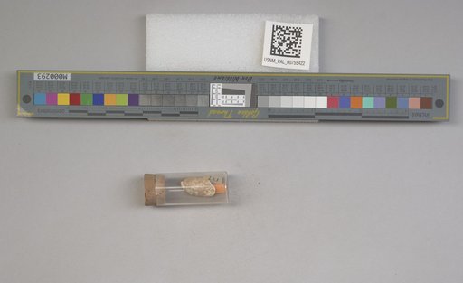 NSF ADBC EPICC TCN
