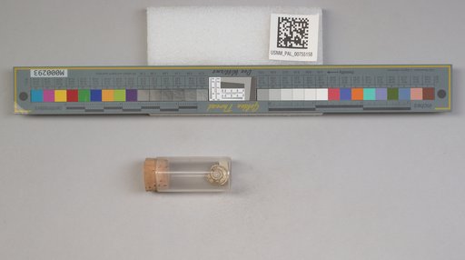 NSF ADBC EPICC TCN