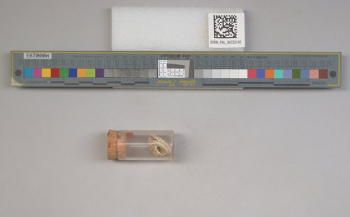 NSF ADBC EPICC TCN