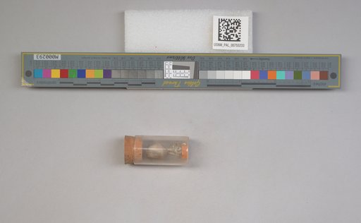 NSF ADBC EPICC TCN