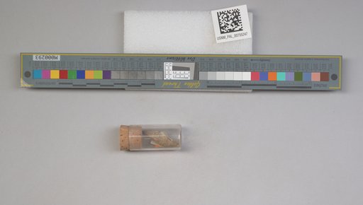 NSF ADBC EPICC TCN