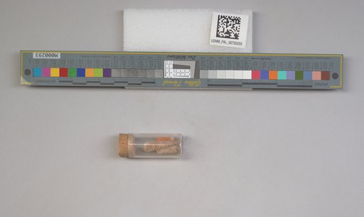 NSF ADBC EPICC TCN
