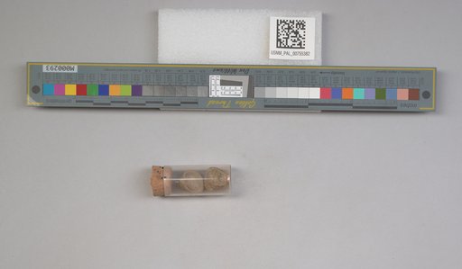 NSF ADBC EPICC TCN
