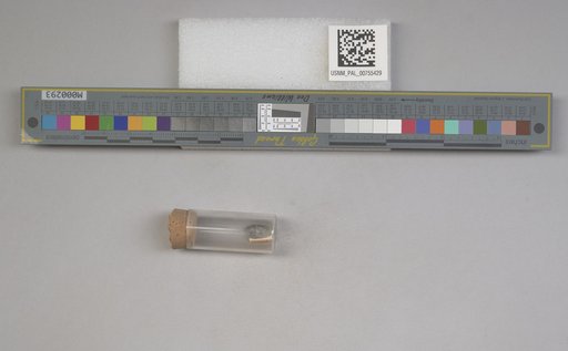 NSF ADBC EPICC TCN