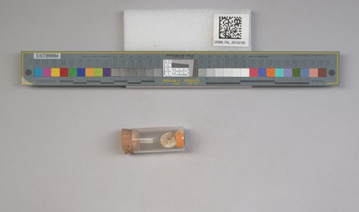 NSF ADBC EPICC TCN