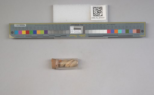 NSF ADBC EPICC TCN