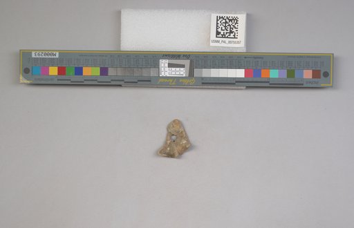 NSF ADBC EPICC TCN