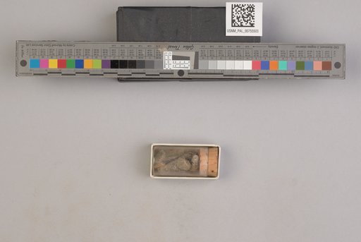 NSF ADBC EPICC TCN