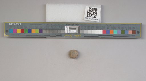 NSF ADBC EPICC TCN